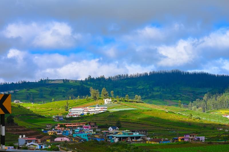Best Places To Visit In Ooty India